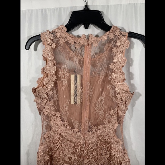 NEW $190 Topshop Scallop Lace Dress in Rose Pink - Picture 10 of 12
